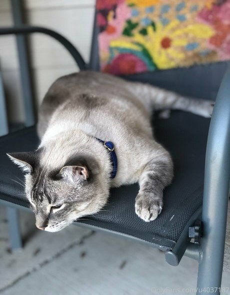 wolf6actual leaked onlyfans sex tape