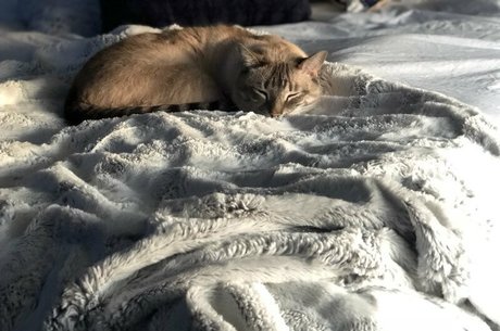 wolf6actual nudes only fans