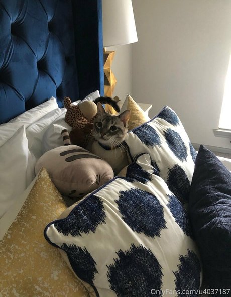 wolf6actual only fans pic