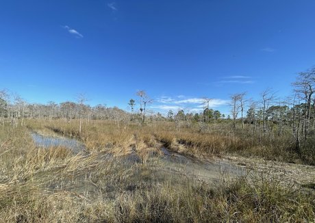 iambigduch onlyfans uncensored