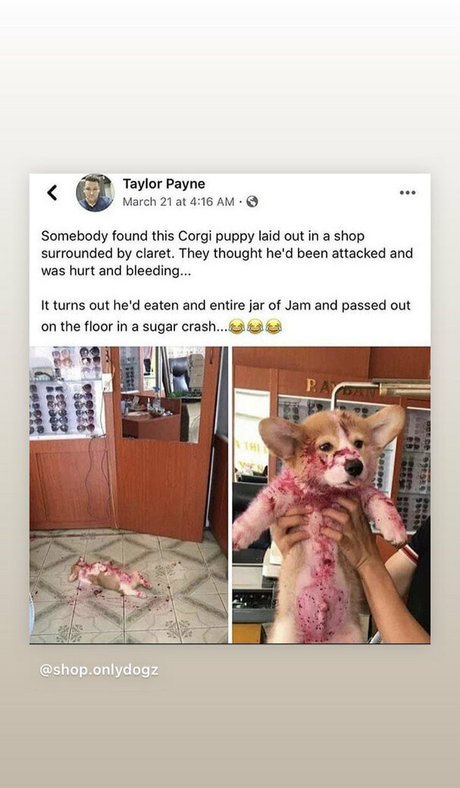 mark magnus420 onlyfans naked