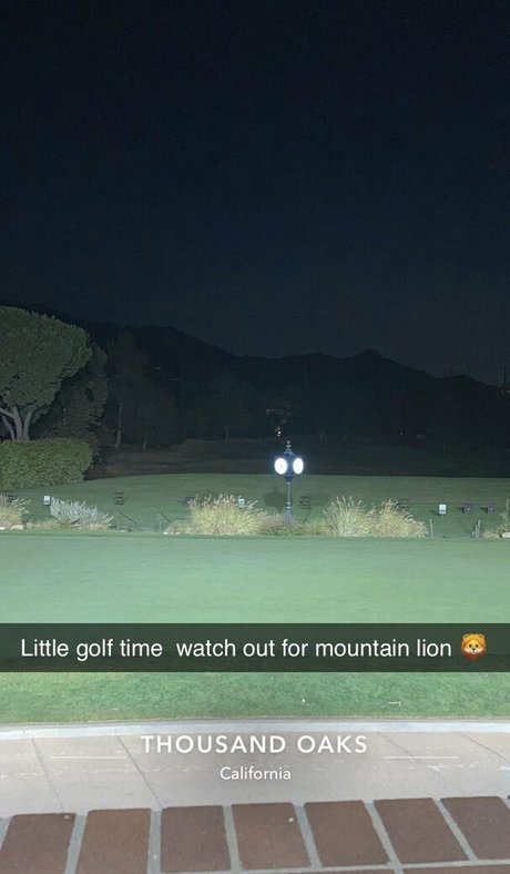 realbrandon818 leaks only fans