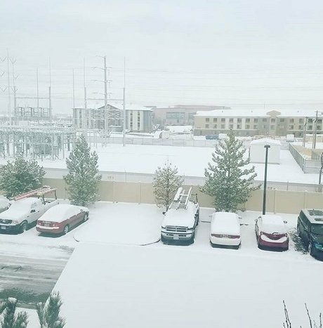 realbrandon818 Profile pic