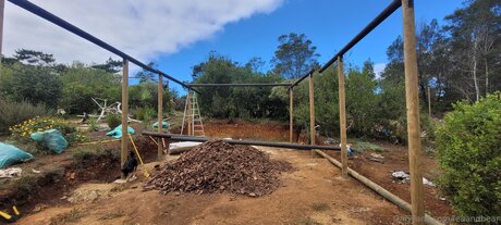 leaandbear nude leak onlyfans