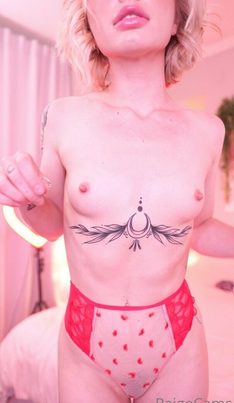 paigecams onlyfans content