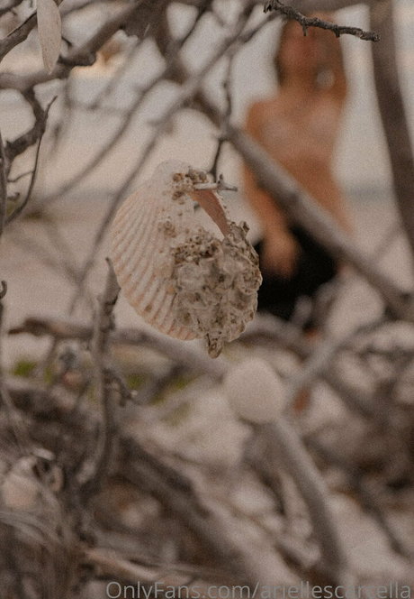 ariellescarcella leaked onlyfans content