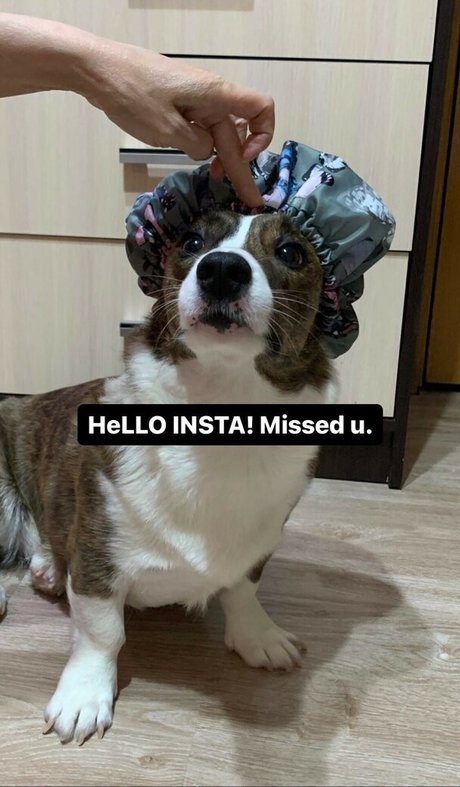 Lezzy Bunny ASMR onlyfans gratis