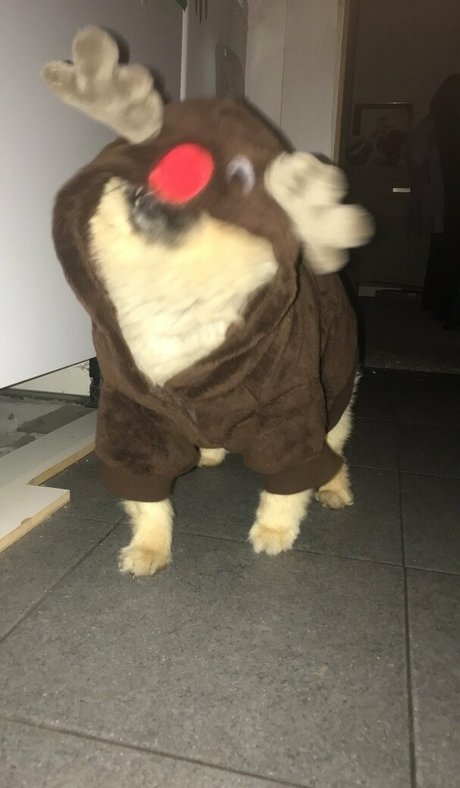 siswetlive onlyfans leak xxx