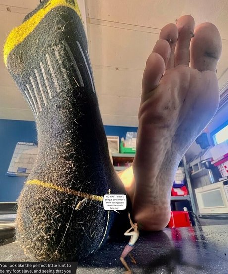 macrocole leaks only fans