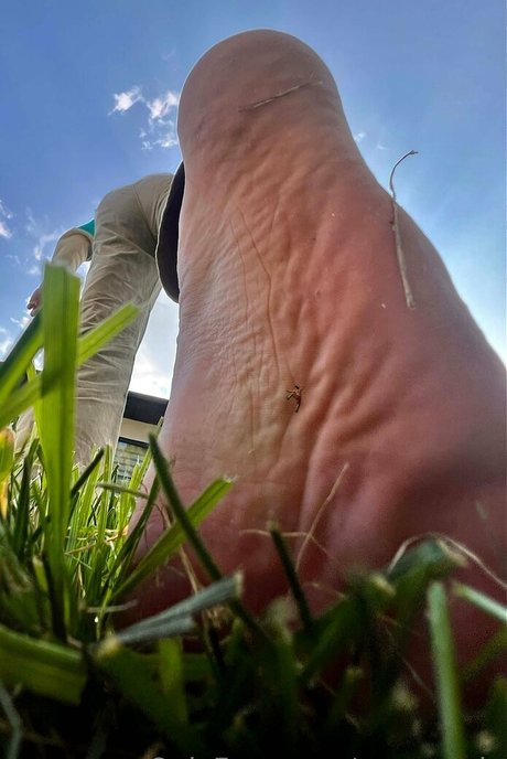 macrocole xxx onlyfans