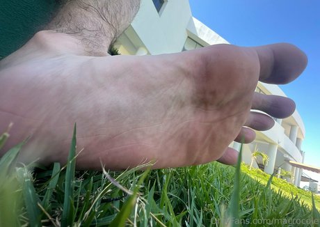 macrocole free onlyfans