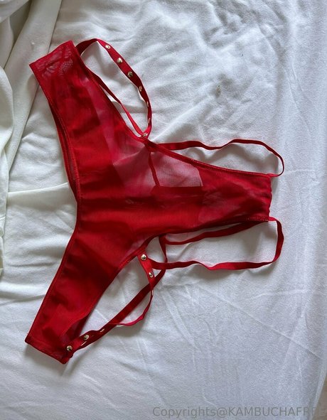 kambuchafree Profile pic