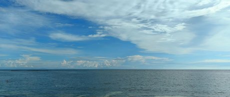 Lionrynn leaked only fans