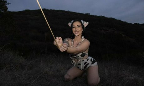 babybear teddy onlyfans archive