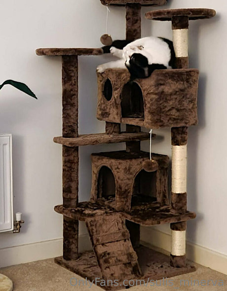 sulis minerva nudes onlyfans