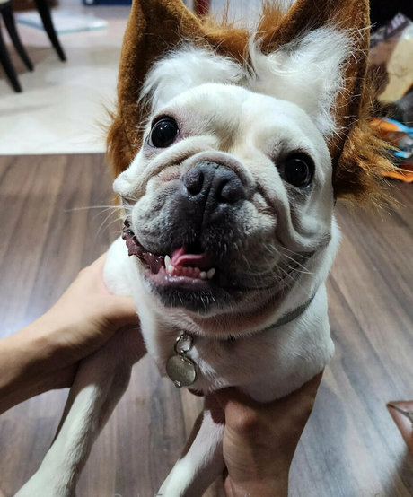 iamdorasnowfree onlyfans leaked pictures