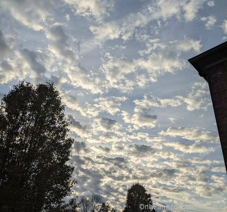 dream candy onlyfans page