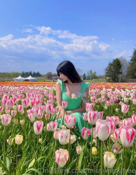 misswarmjfree onlyfans leaks nudes