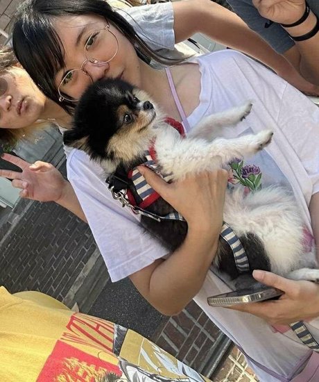 LilyPichu onlyfans leaks nudes