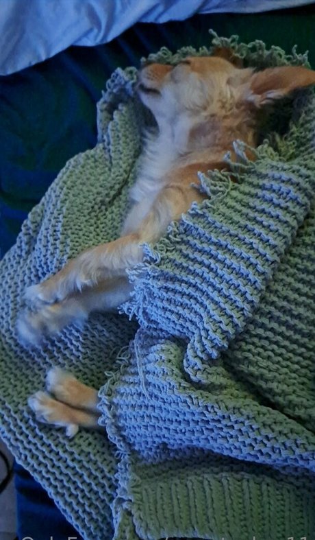 sweetcakes11 onlyfans porn nude