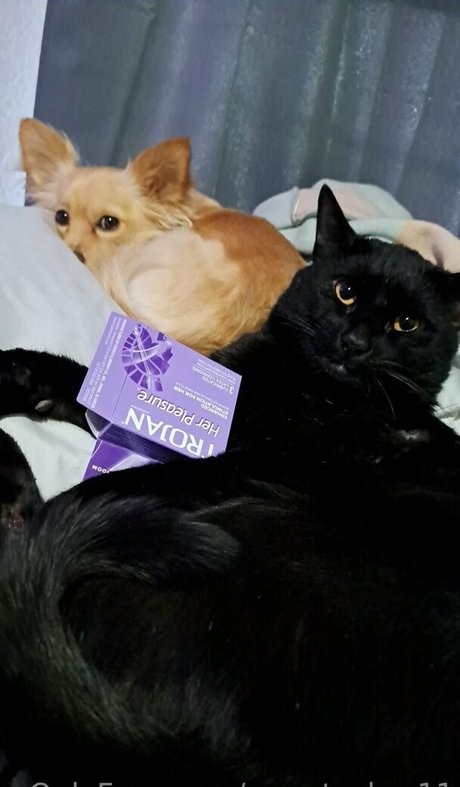 sweetcakes11 only fans leaked