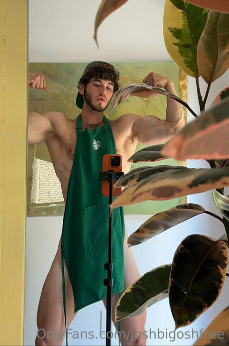 joshbigoshfree Profile pic