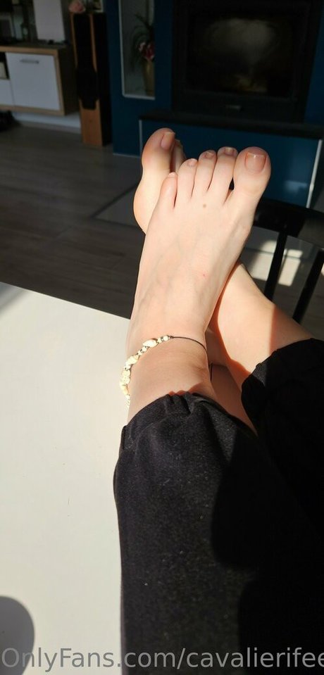 cavalierifeetfree onlyfans leak naked