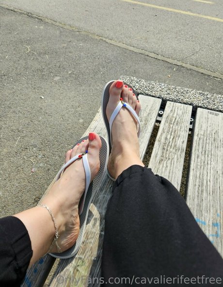 cavalierifeetfree onlyfans leaks nudes