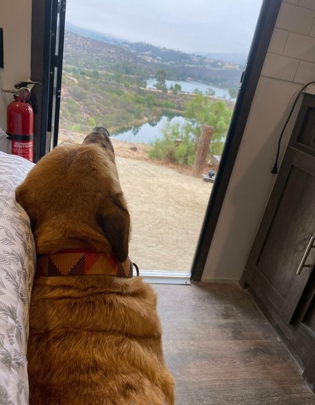 cocovandi leaked only fans nudes