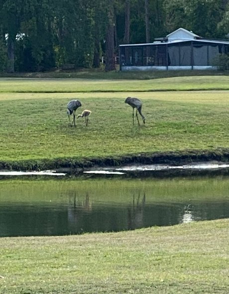 cocovandi leaked onlyfans xxx