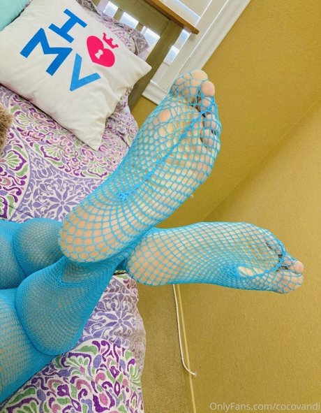 cocovandi onlyfans porn free