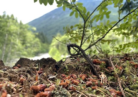 deargoddesssara onlyfans leaked nude