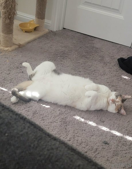 yureta2 leaks onlyfans porn