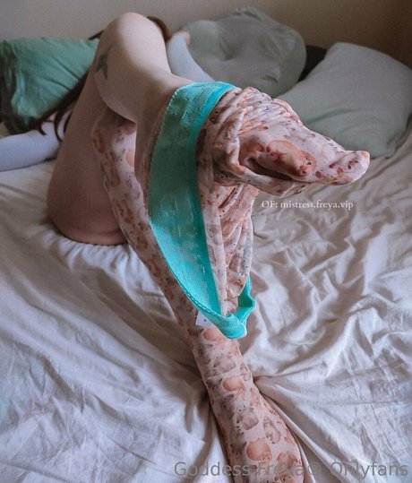 freyas kingdom only fans leaks