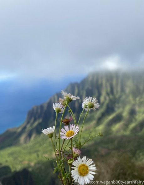 sexyearthfairymermaid onlyfans leak naked