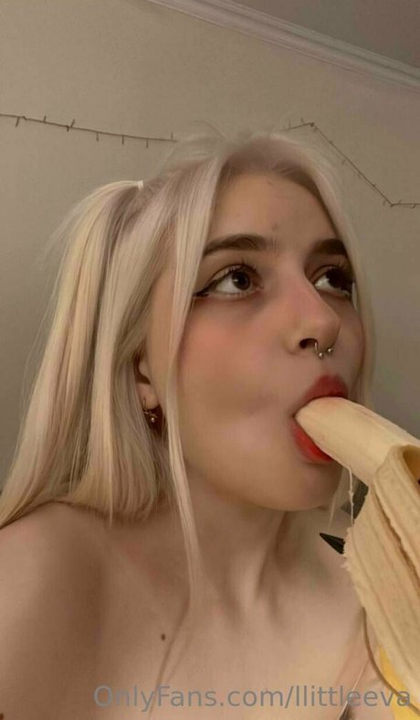 llittleeva Profile pic