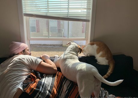 tantalizingtrifecta new leaked onlyfans