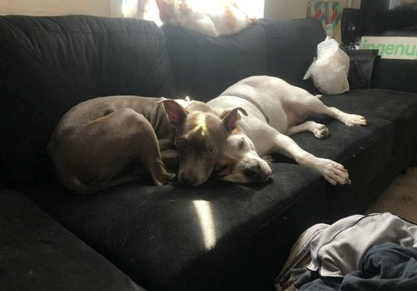 tantalizingtrifecta onlyfans nudes porn