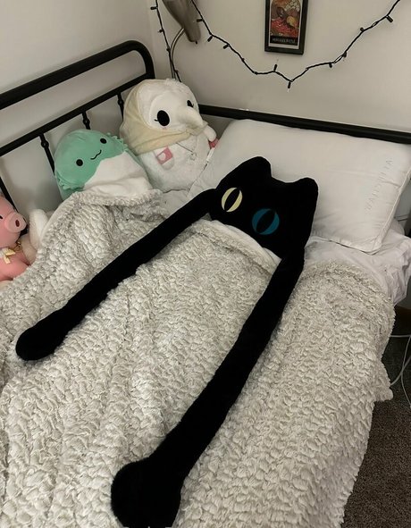 sleepy raccoon onlyfans sex tape