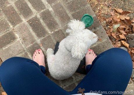 Soyacide onlyfans content