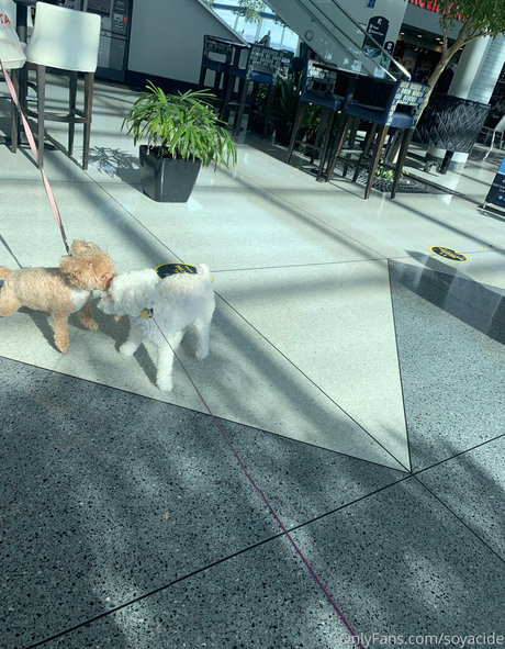 Soyacide leak onlyfans porn