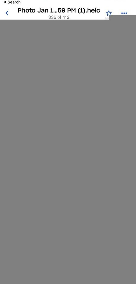 sexypanda onlyfans leak free