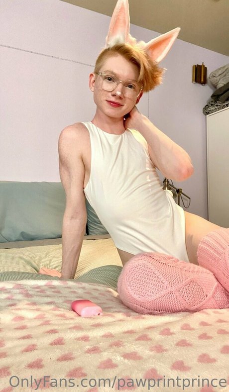 Pawprintprince only fans