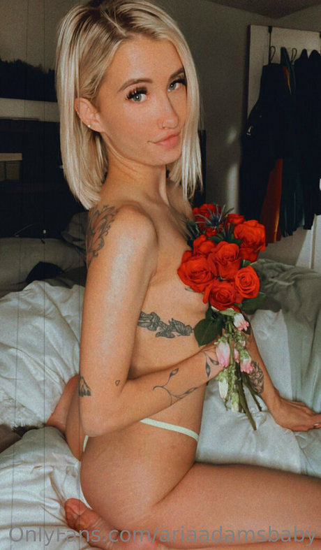 Aria Adams onlyfans tits