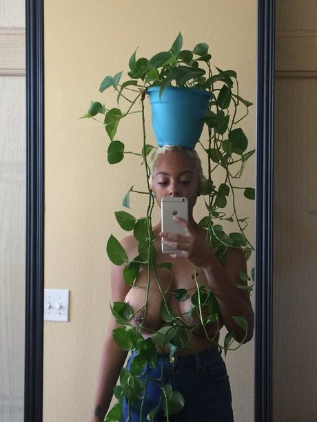 bbywolf666 onlyfans archive