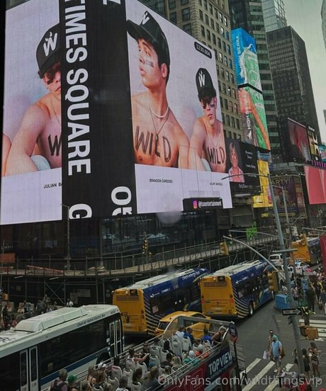 wildthingsvip onlyfans nudes leaks