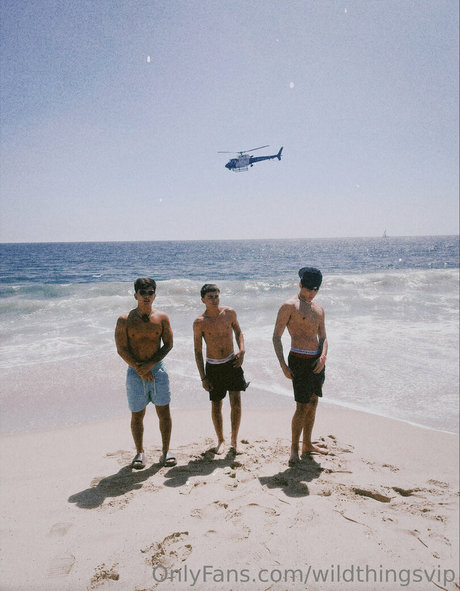 wildthingsvip sex tape onlyfans