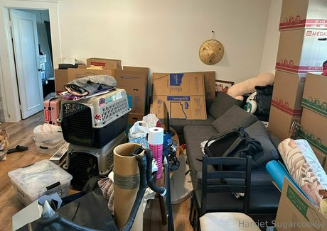 harrietsugarcookie leaked porn onlyfans