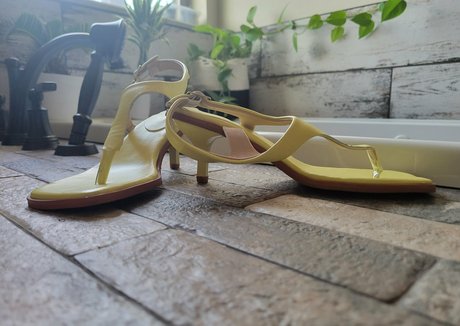 juicywheels1 Profile pic