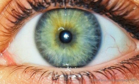 ganjagirl907 onlyfans gratis